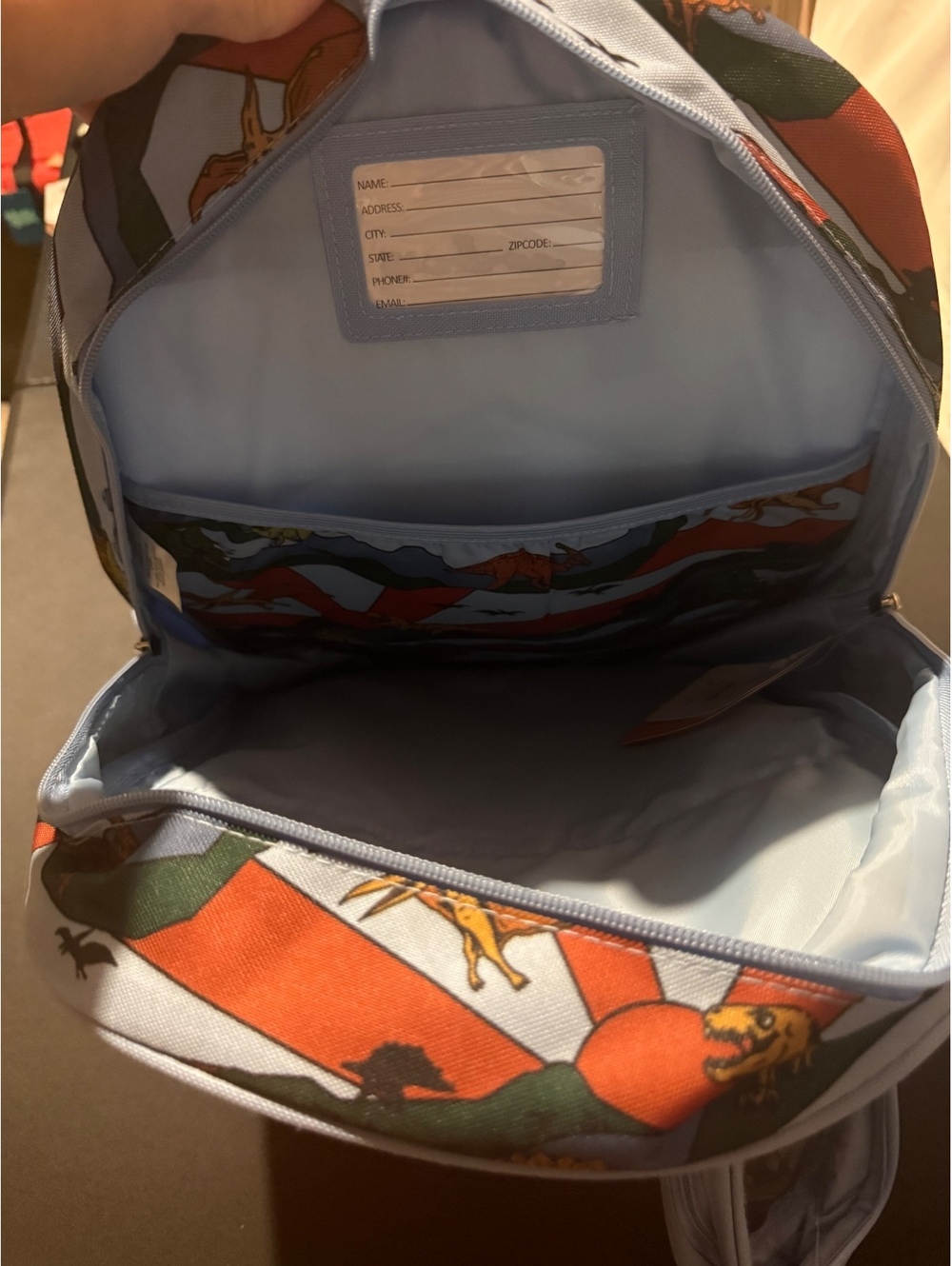 Backpack - Picture 3 of 5